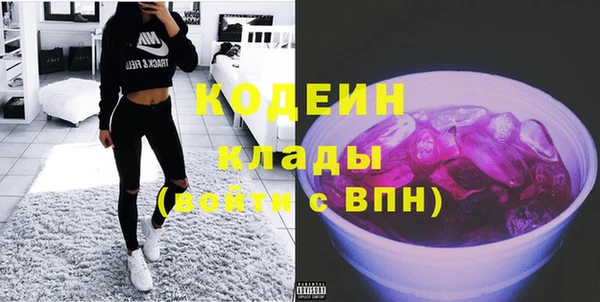ECSTASY Богданович