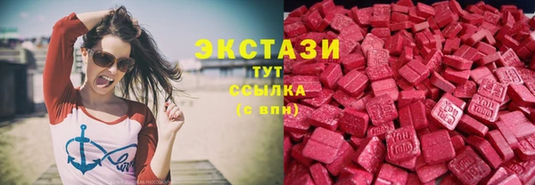 ECSTASY Богданович