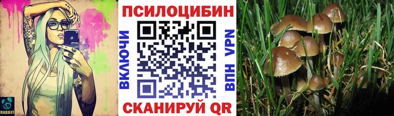 Псилоцибиновые грибы GOLDEN TEACHER  ссылка на мегу ссылка  Белоусово 